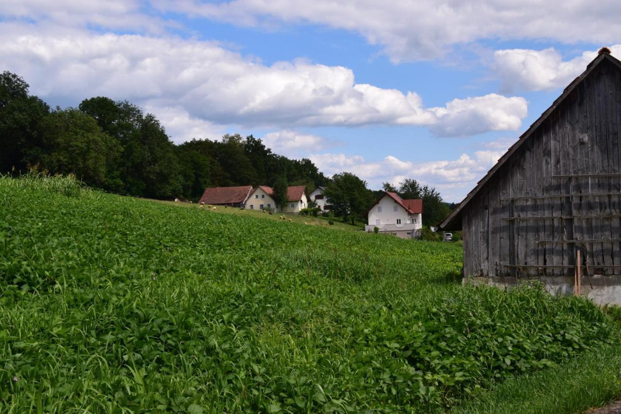 Ferienhaus Jagafranzl Gnas Buitenkant foto