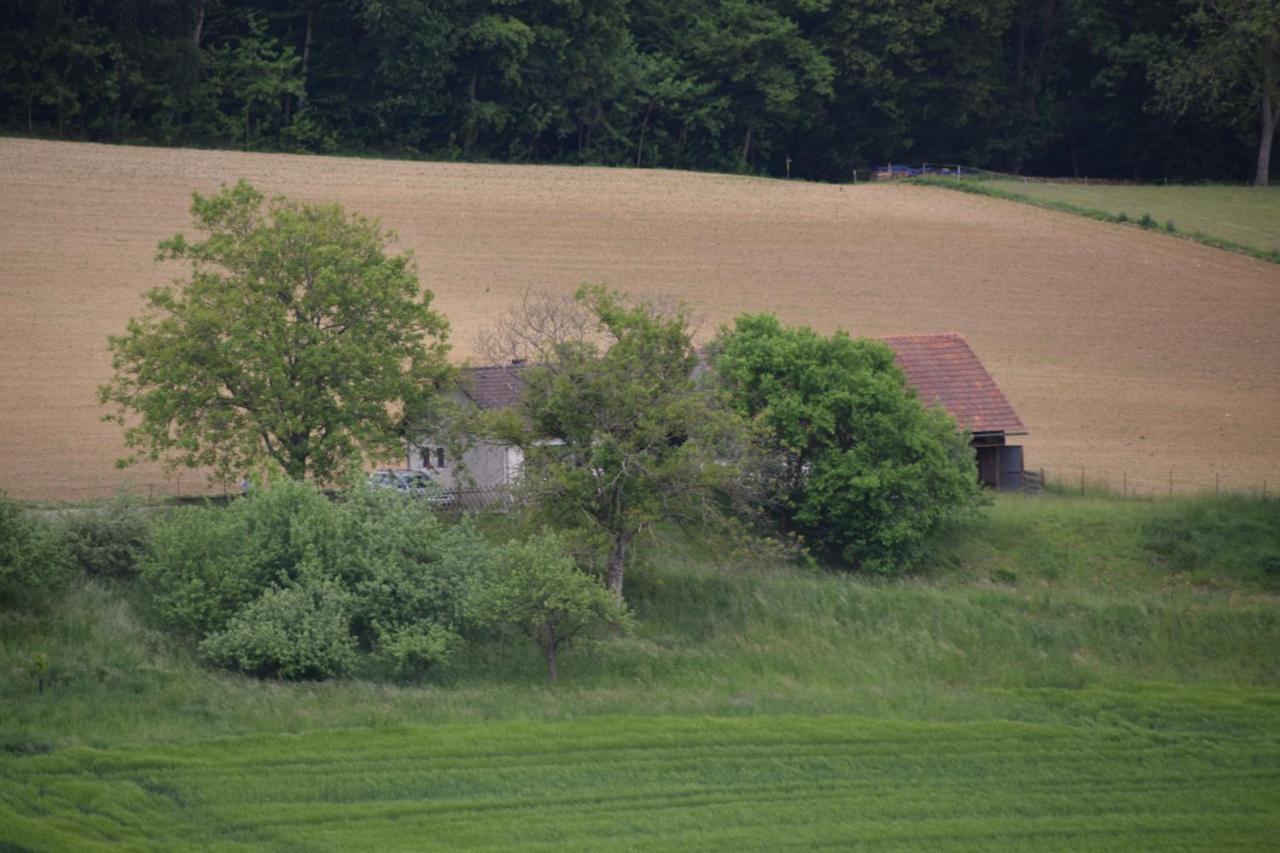 Ferienhaus Jagafranzl Gnas Buitenkant foto